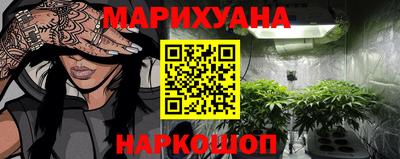 молекула духа Камышлов