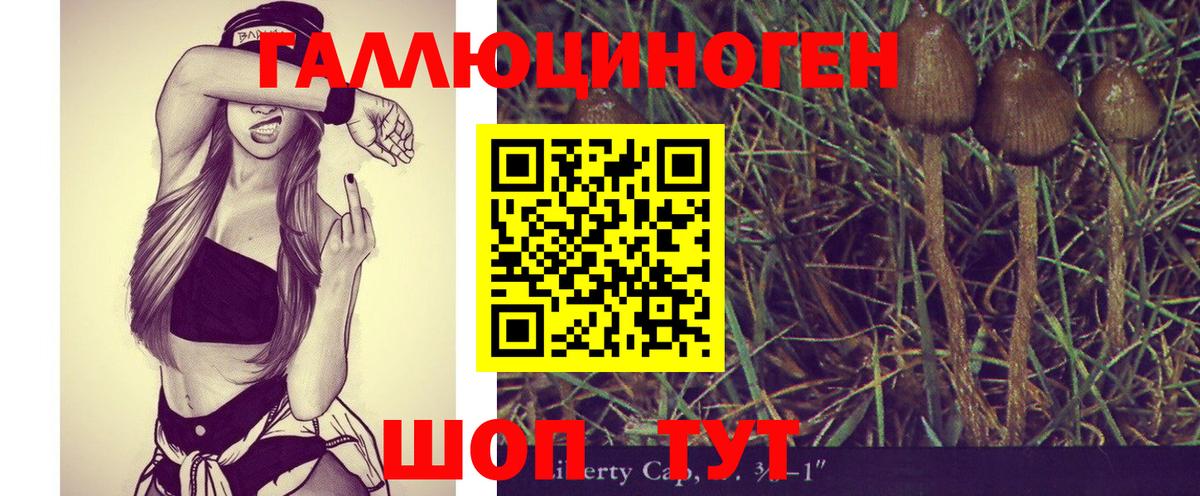 Псилоцибиновые грибы Psilocybine cubensis Кудрово