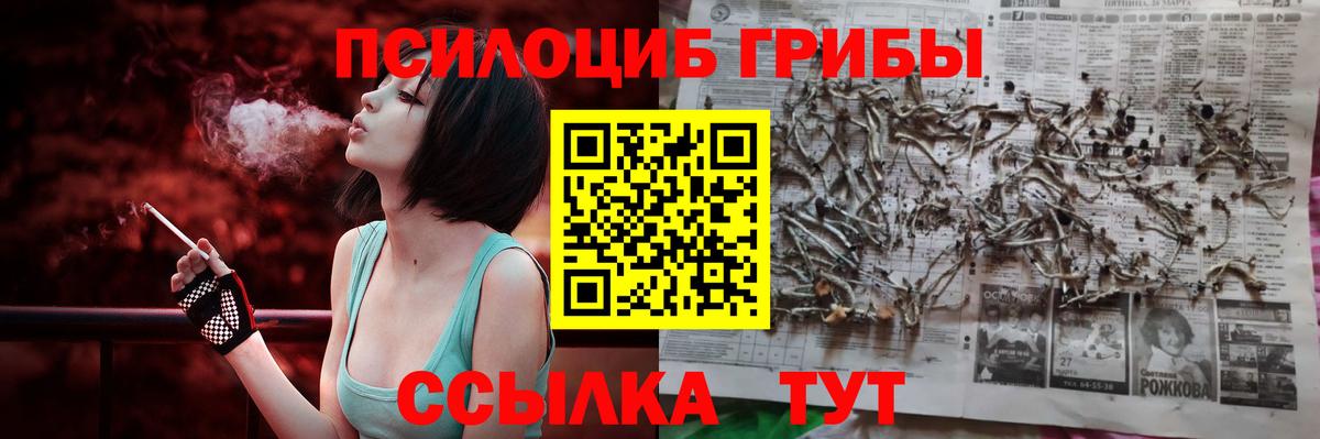 Кудрово  Галлюциногенные грибы прущие грибы  Вход с VPN  Галлюциногенные грибы мицелий 